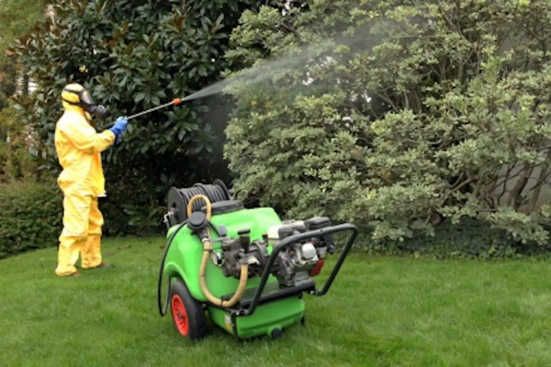 Immagine di ORDINANZA N. 3 DEL 24/02/2026 - TRATTAMENTO FITOSANITARIO SU ALBERATURE DEL CENTRO ABITATO - DISCIPLINA ALLA PREVENZIONE DANNI A PERSONE ED ANIMALI DOMESTICI